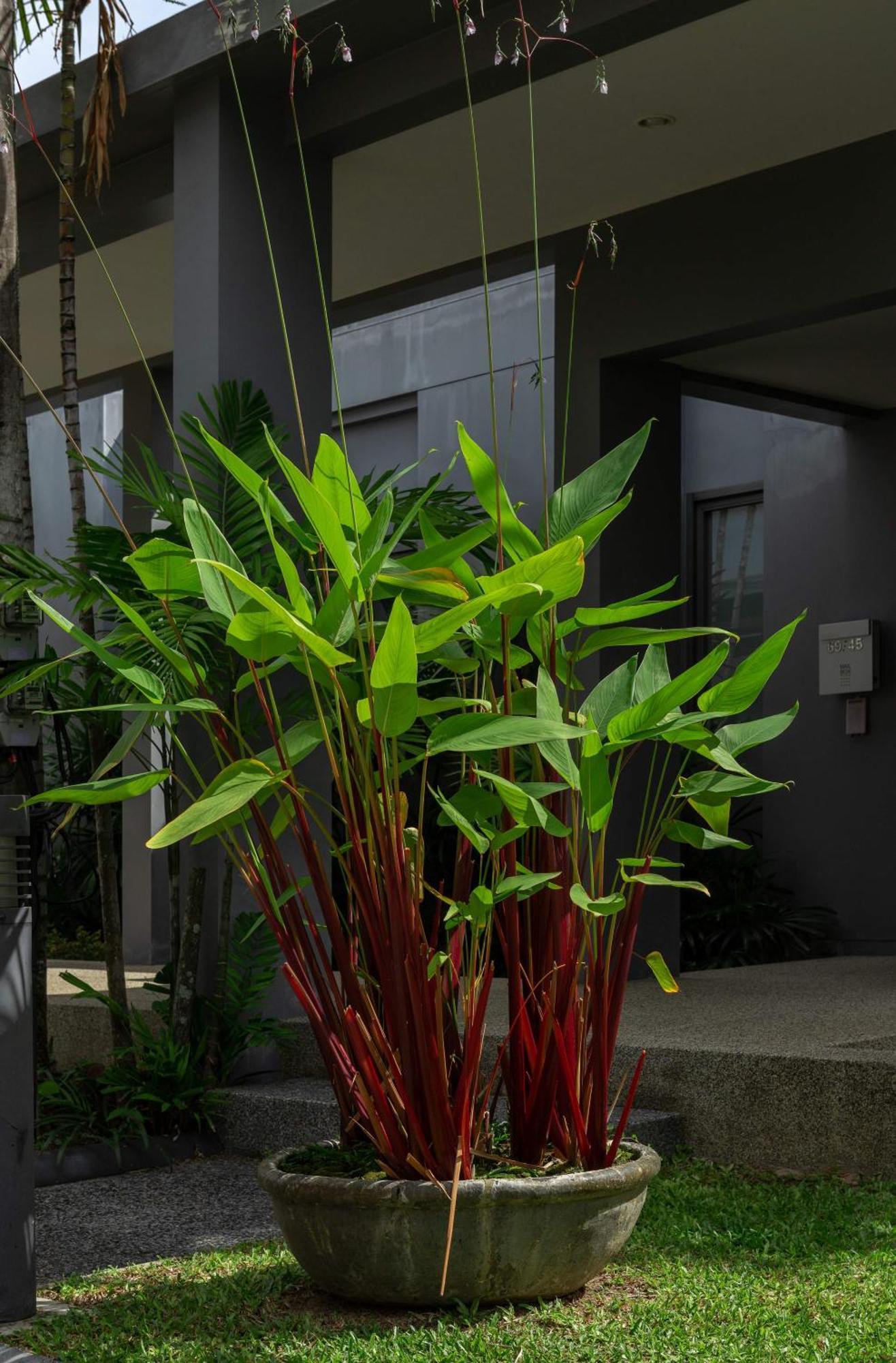 Villa Galam | Private Pool | Onyx Villas By Tropiclook | Naiharn Beach Nai Harn エクステリア 写真